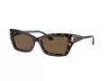 Jimmy Choo Sunčane Naočale 5011U 500273