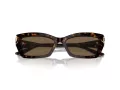 Jimmy Choo Sunčane Naočale 5011U 500273