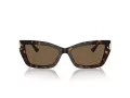 Jimmy Choo Sunčane Naočale 5011U 500273