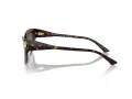 Jimmy Choo Sunčane Naočale 5011U 500273