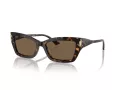 Jimmy Choo Sunčane Naočale 5011U 500273