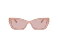 Jimmy Choo Sunčane Naočale 5011U 5027/5