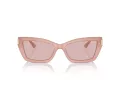 Jimmy Choo Sunčane Naočale 5011U 5027/5