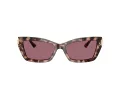 Jimmy Choo Sunčane Naočale 5011U 50701A