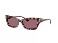 Jimmy Choo Sunčane Naočale 5011U 50701A