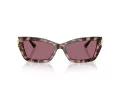 Jimmy Choo Sunčane Naočale 5011U 50701A