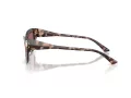 Jimmy Choo Sunčane Naočale 5011U 50701A
