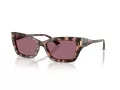 Jimmy Choo Sunčane Naočale 5011U 50701A