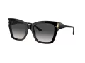 Jimmy Choo Sunčane Naočale 5012 50008G