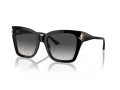 Jimmy Choo Sunčane Naočale 5012 50008G