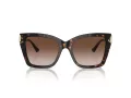Jimmy Choo Sunčane Naočale 5012 500213
