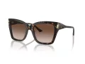 Jimmy Choo Sunčane Naočale 5012 500213