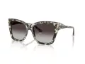 Jimmy Choo Sunčane Naočale 5012 50688G