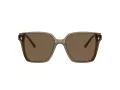 Jimmy Choo Sunčane Naočale 5016D 505173