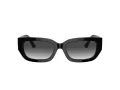 Jimmy Choo Sunčane Naočale 5017 50298G