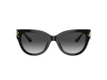 Jimmy Choo Sunčane Naočale 5018U 50008G