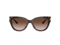 Jimmy Choo Sunčane Naočale 5018U 500213