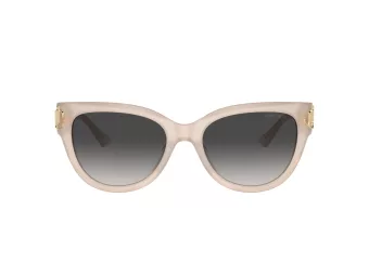 Jimmy Choo Sunčane Naočale 5018U 50258G