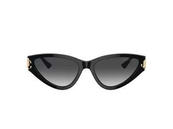 Jimmy Choo Sunčane Naočale 5019 50008G