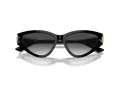 Jimmy Choo Sunčane Naočale 5019 50008G