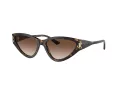 Jimmy Choo Sunčane Naočale 5019 500213