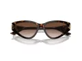 Jimmy Choo Sunčane Naočale 5019 500213