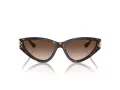 Jimmy Choo Sunčane Naočale 5019 500213
