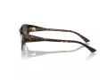 Jimmy Choo Sunčane Naočale 5019 500213