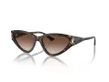 Jimmy Choo Sunčane Naočale 5019 500213