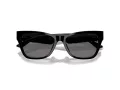 Jimmy Choo Sunčane Naočale 5024HU 500081
