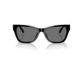 Jimmy Choo Sunčane Naočale 5024HU 500081