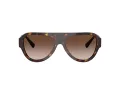 Jimmy Choo Sunčane Naočale 5027 500213