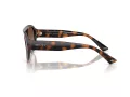 Jimmy Choo Sunčane Naočale 5027 500213