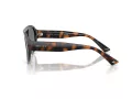 Jimmy Choo Sunčane Naočale 5027 50028F