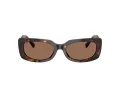 Jimmy Choo Sunčane Naočale 5029U 500273