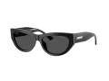 Jimmy Choo Sunčane Naočale 5034BU 500087