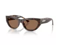 Jimmy Choo Sunčane Naočale 5034BU 500273