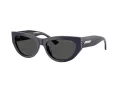 Jimmy Choo Sunčane Naočale 5034BU 501687
