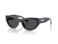 Jimmy Choo Sunčane Naočale 5034BU 501687