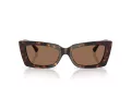 Jimmy Choo Sunčane Naočale 5037BU 500273