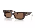Jimmy Choo Sunčane Naočale 5037BU 500273