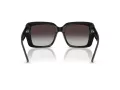 Jimmy Choo Sunčane Naočale 5042 50008G