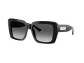 Jimmy Choo Sunčane Naočale 5042 5000T3