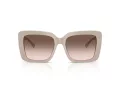 Jimmy Choo Sunčane Naočale 5042 50333B