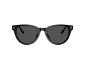 Jimmy Choo Sunčane Naočale 5043D 500087