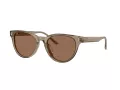 Jimmy Choo Sunčane Naočale 5043D 505173