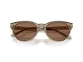 Jimmy Choo Sunčane Naočale 5043D 505173