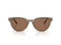 Jimmy Choo Sunčane Naočale 5043D 505173