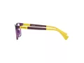 Miraflex Naočale 4017 L903