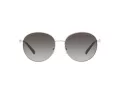 Michael Kors Alpine Sunčane Naočale MK 1119 1014/8G